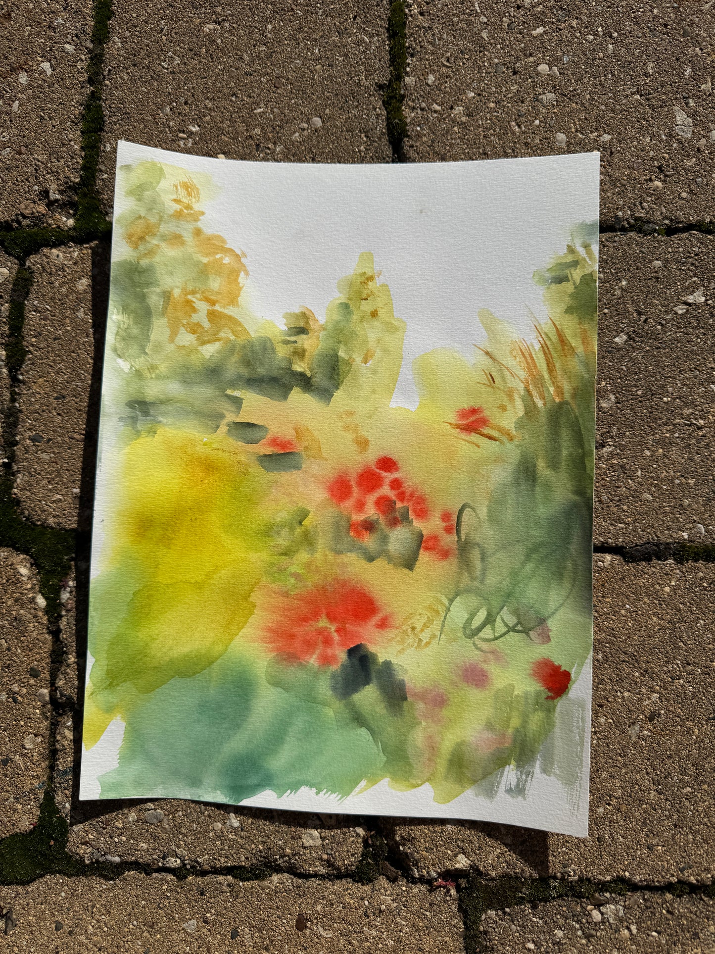 Red and Green Series #1