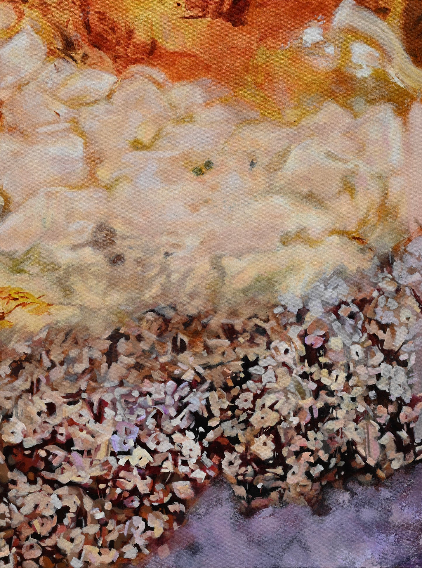 We Found This Meadow