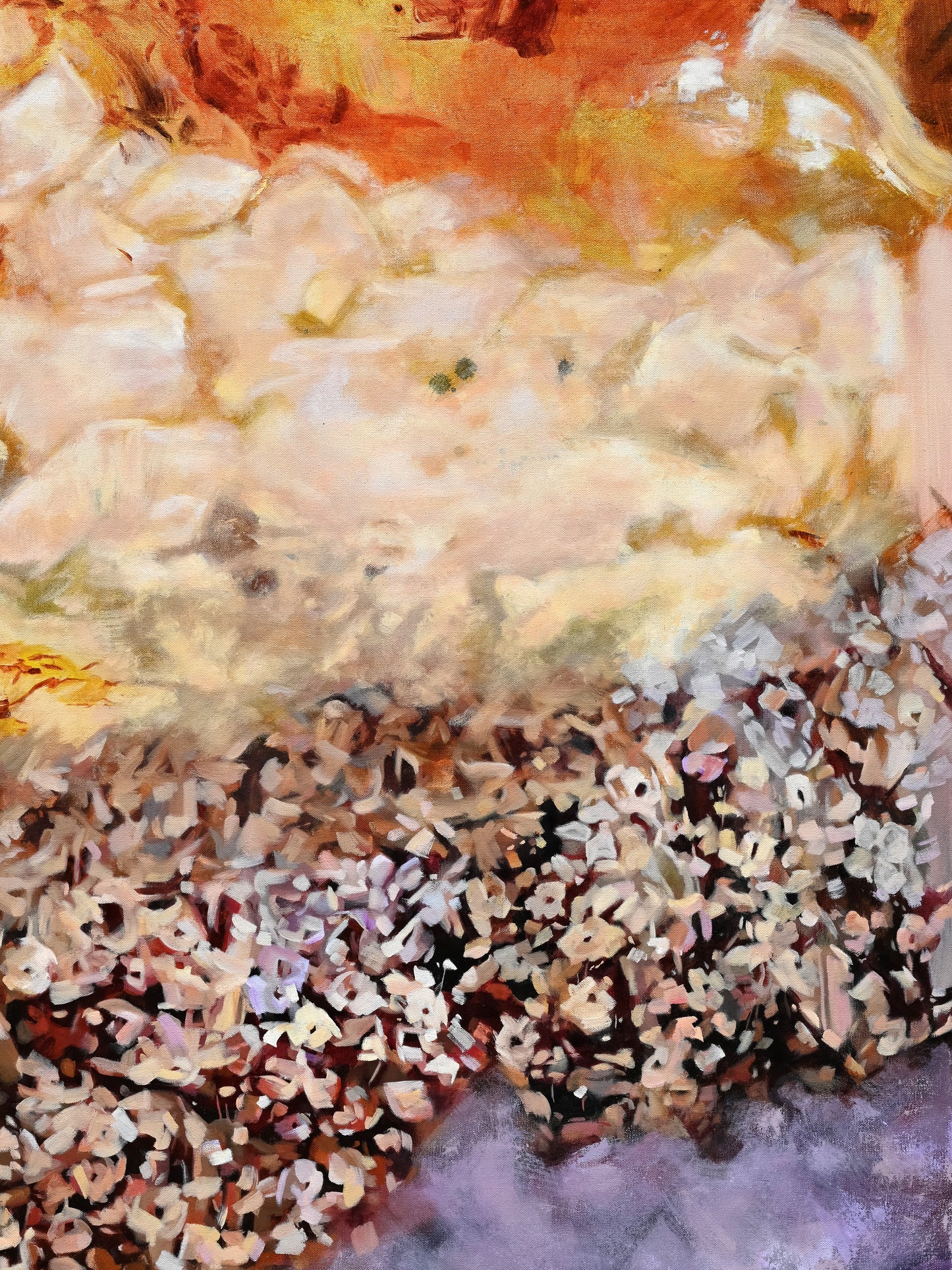 We Found This Meadow